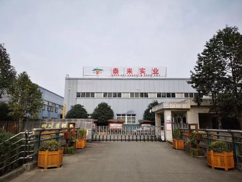 專訪泰來(lái)木業(yè)陳總 憶崢嶸歲月稠,看今朝重任在肩頭